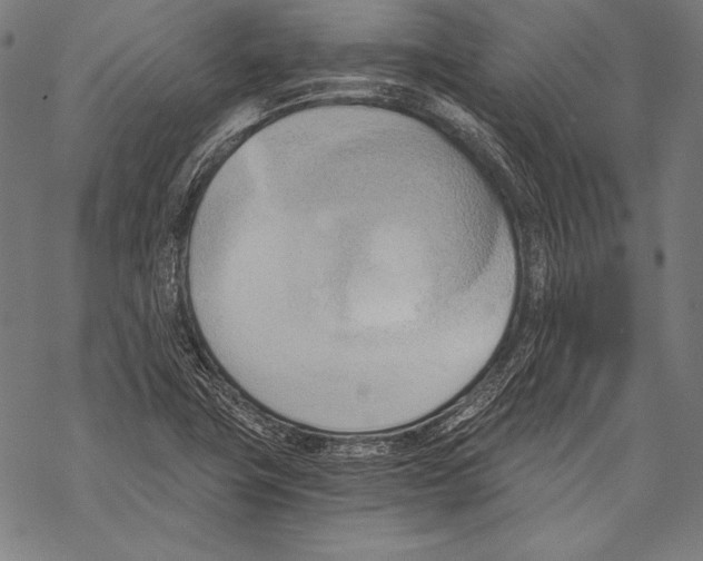 X0000068751411200605191547