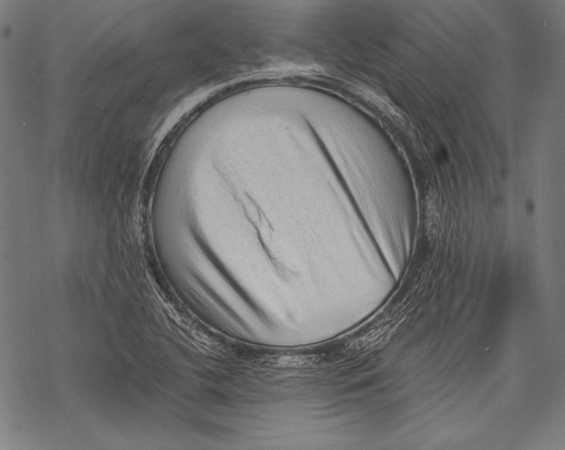 X0000068751412200605191547