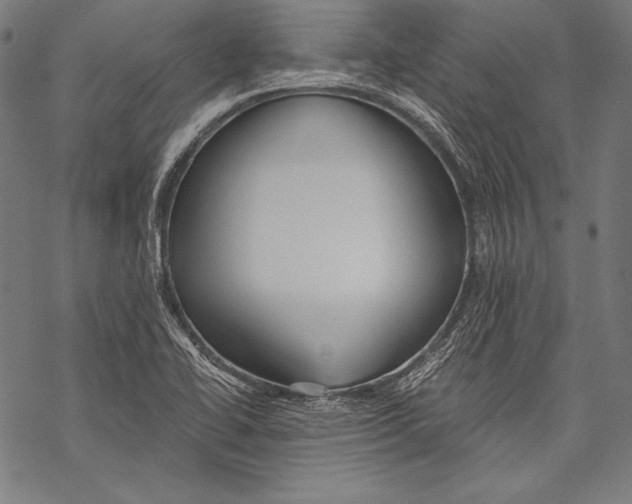 X0000068751414200605191547