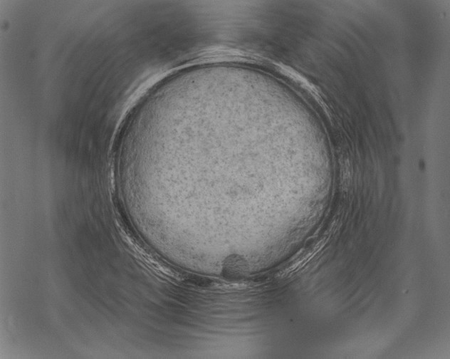 X0000068751415200605191547