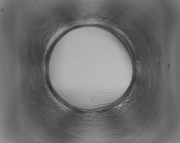 X0000068751416200605191547