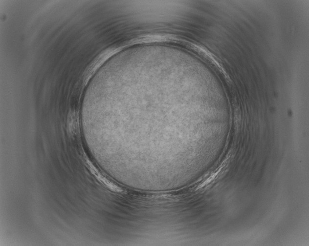 X0000068751417200605191547