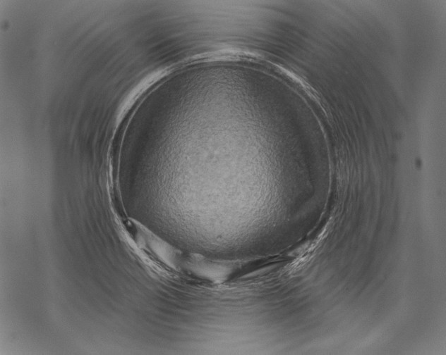 X0000068751418200605191547