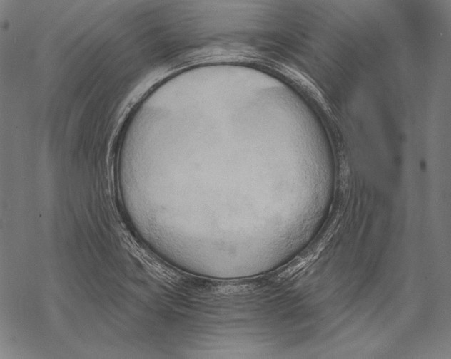 X0000068751419200605191547