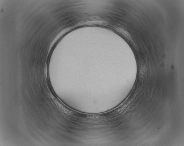 X0000068751420200605191547