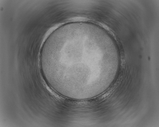 X0000068751421200605191547