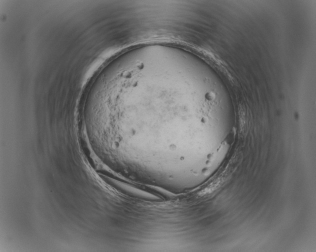 X0000068751422200605191547