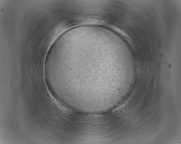 X0000068751423200605191547