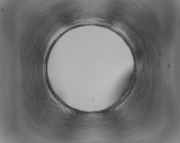 X0000068751424200605191547