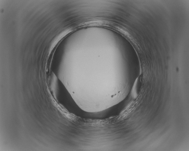 X0000068751426200605191547