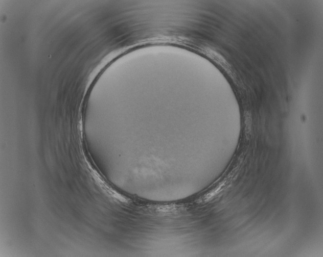 X0000068751428200605191547