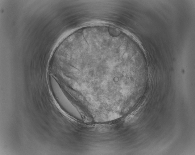 X0000068751429200605191547