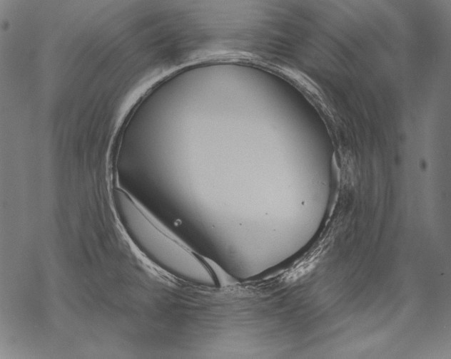 X0000068751430200605191547