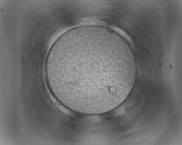 X0000068751431200605191547