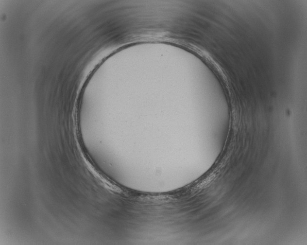 X0000068751432200605191547