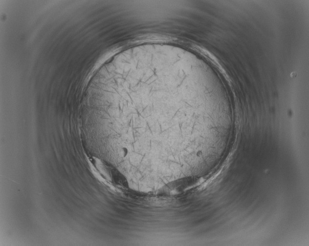 X0000068751433200605191547