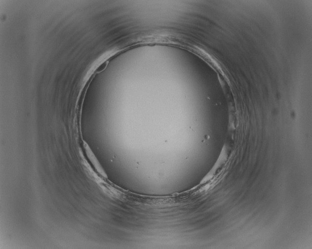 X0000068751434200605191547