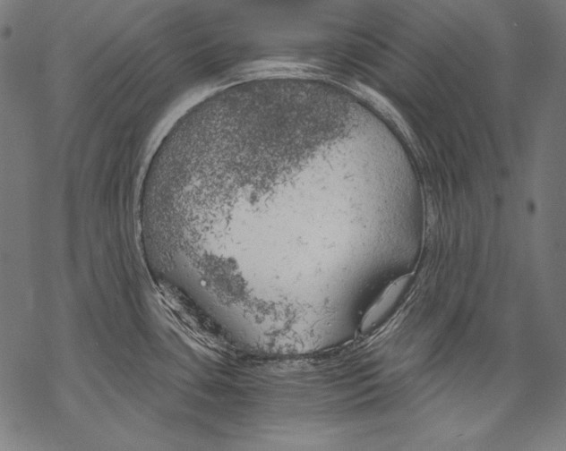 X0000068751435200605191547