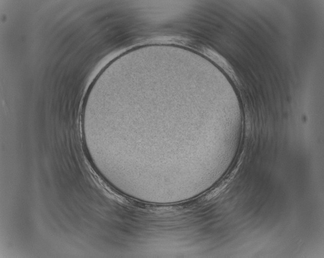 X0000068751436200605191547