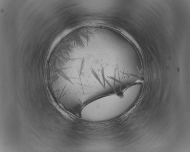 X0000068751437200605191547