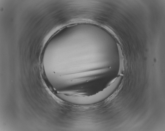 X0000068751438200605191547