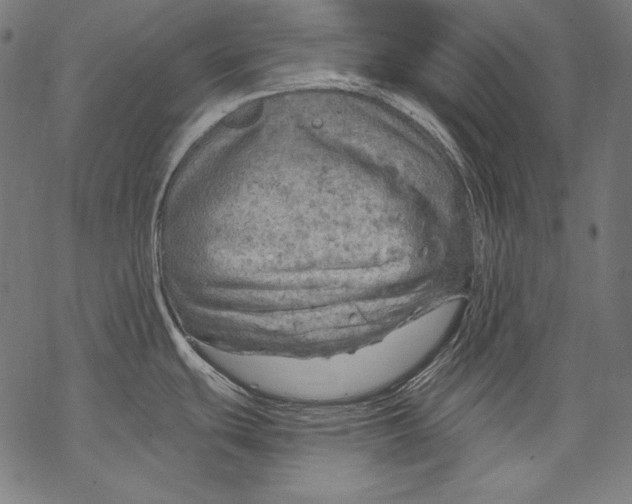 X0000068751439200605191547