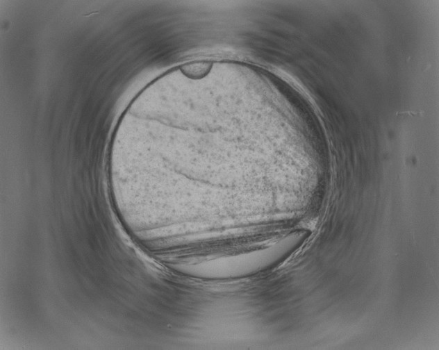 X0000068751440200605191547