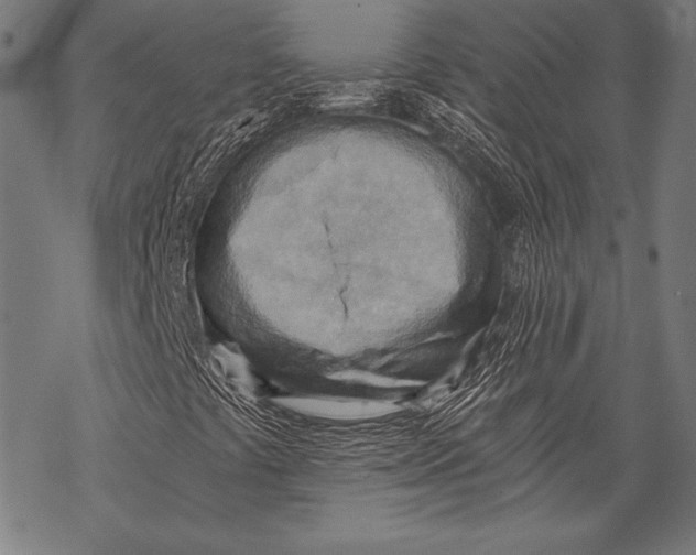 X0000068751441200605191547