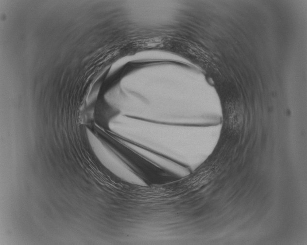 X0000068751442200605191547