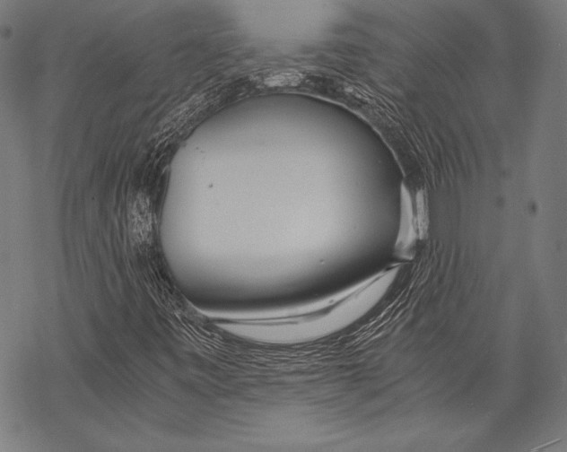 X0000068751443200605191547