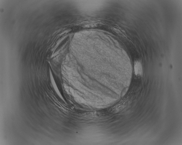 X0000068751444200605191547