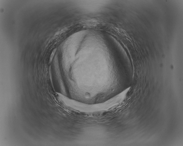 X0000068751445200605191547