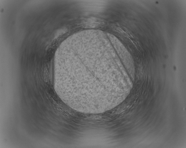 X0000068751446200605191547