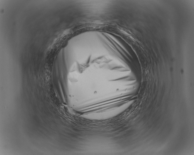 X0000068751447200605191547