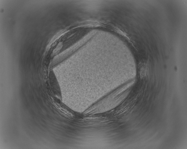 X0000068751448200605191547