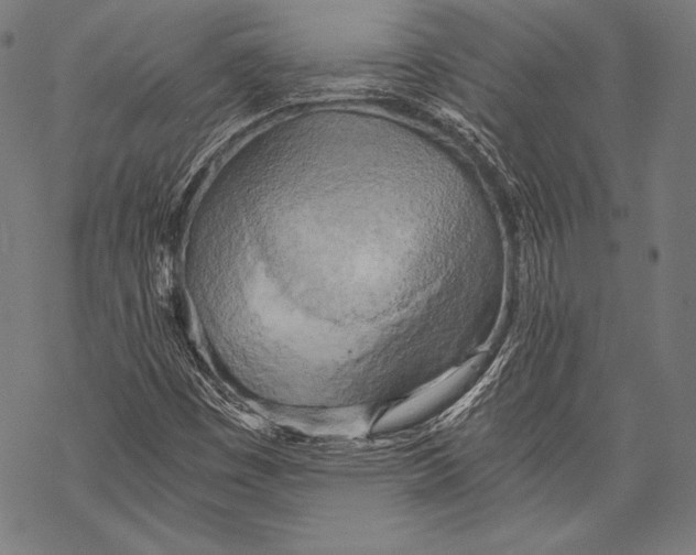 X0000068751449200605191546