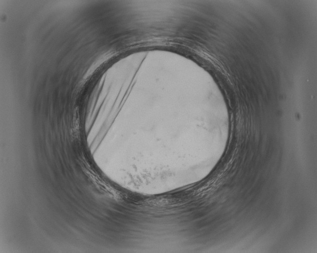 X0000068751450200605191546