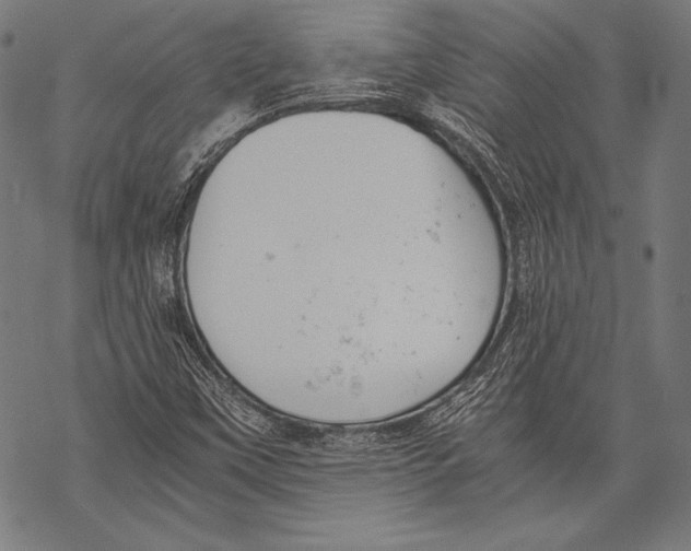 X0000068751451200605191546