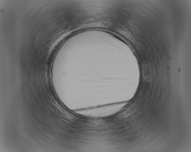 X0000068751452200605191546