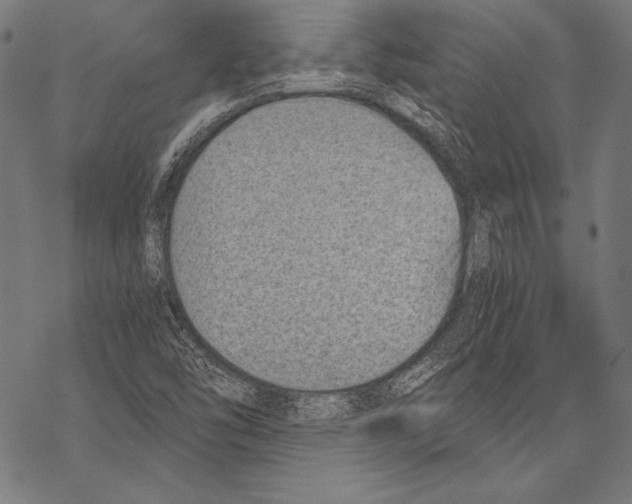 X0000068751454200605191546