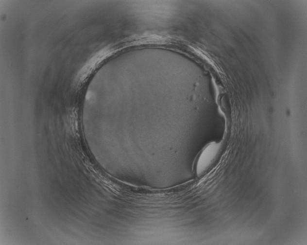 X0000068751455200605191546