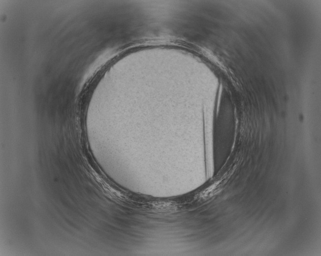 X0000068751456200605191546