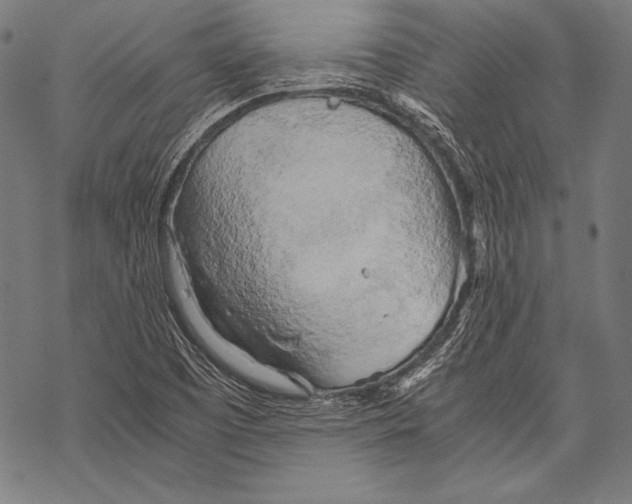 X0000068751457200605191546