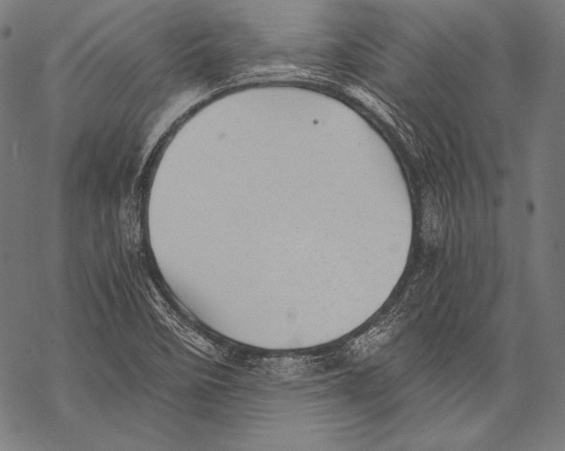 X0000068751458200605191546