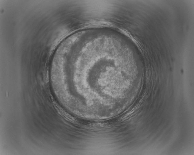 X0000068751459200605191546