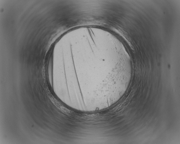 X0000068751460200605191546