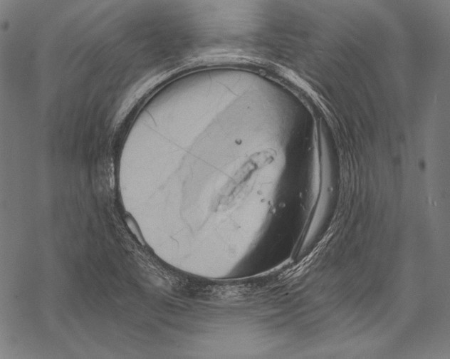 X0000068751461200605191546