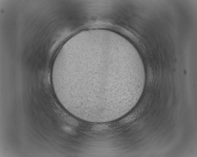 X0000068751462200605191546