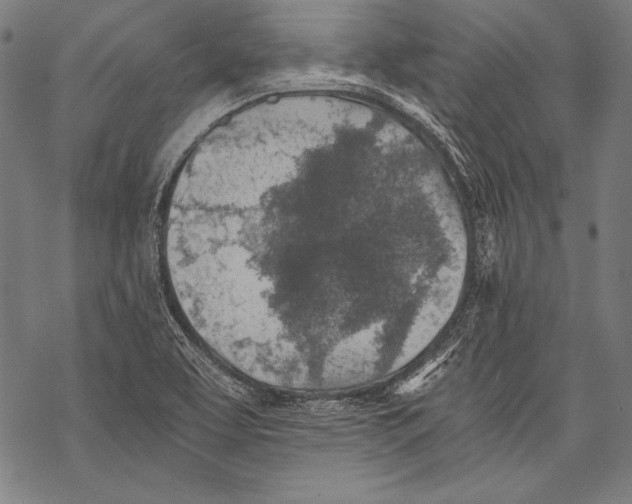 X0000068751463200605191546