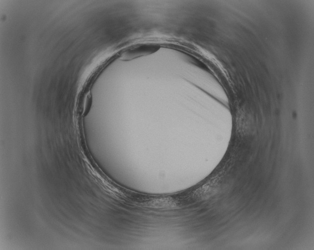 X0000068751464200605191546